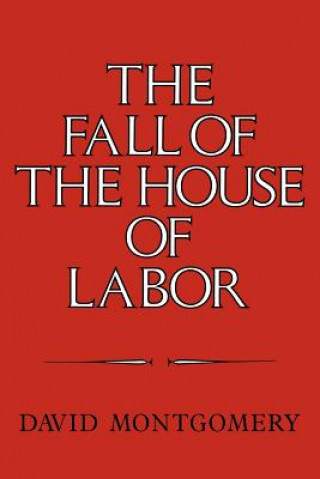 Kniha Fall of the House of Labor David Montgomery