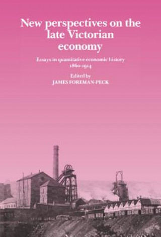 Książka New Perspectives on the Late Victorian Economy James Foreman-Peck