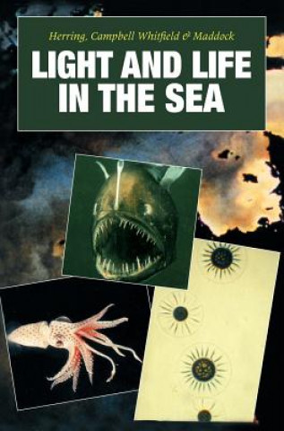 Kniha Light and Life in the Sea Peter J. HerringAnthony K. CampbellMichael WhitfieldLinda Maddock