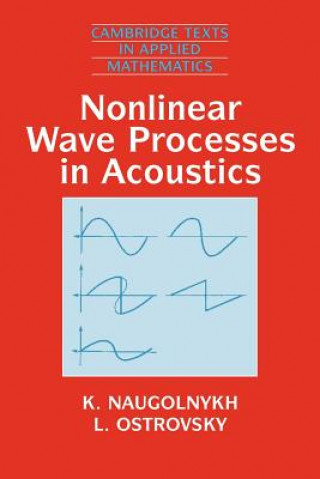 Buch Nonlinear Wave Processes in Acoustics K. NaugolnykhL. Ostrovsky