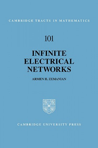 Buch Infinite Electrical Networks Armen H. Zemanian