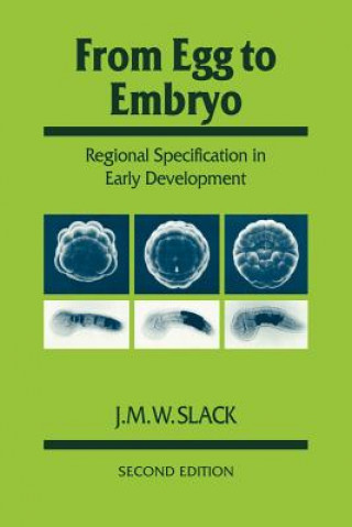 Carte From Egg to Embryo J. M. W. Slack