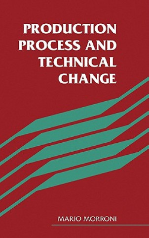 Könyv Production Process and Technical Change Mario Morroni