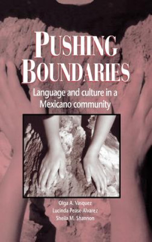 Buch Pushing Boundaries Olga A. VásquezLucinda Pease-AlvarezSheila M. ShannonLuis Moll
