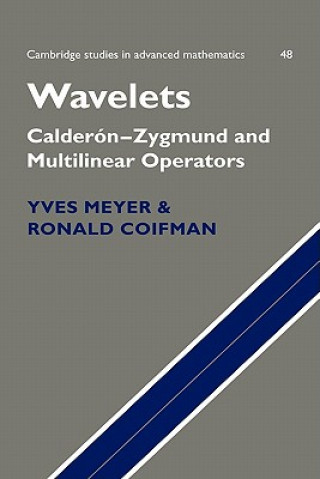 Kniha Wavelets Yves MeyerRonald CoifmanDavid Salinger