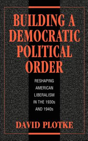 Kniha Building a Democratic Political Order David Plotke