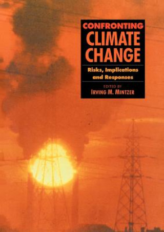 Kniha Confronting Climate Change Irving M. Mintzer