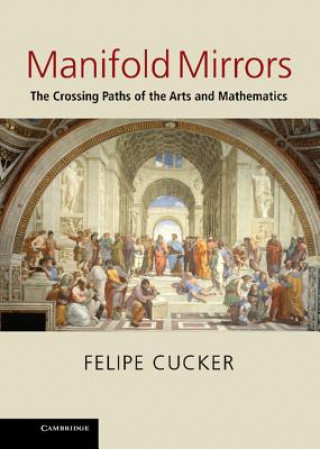 Könyv Manifold Mirrors Felipe Cucker