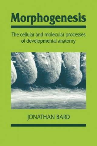 Könyv Morphogenesis Jonathan Bard
