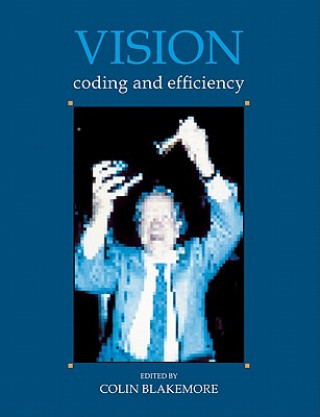 Libro Vision Colin BlakemoreK. AdlerM. Pointon