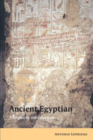 Könyv Ancient Egyptian Antonio Loprieno