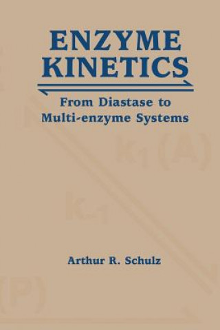 Könyv Enzyme Kinetics Arthur R. Schulz
