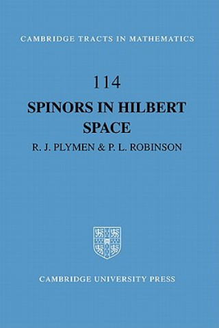 Kniha Spinors in Hilbert Space Roger PlymenPaul Robinson