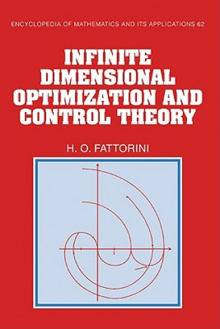 Kniha Infinite Dimensional Optimization and Control Theory Hector O. Fattorini