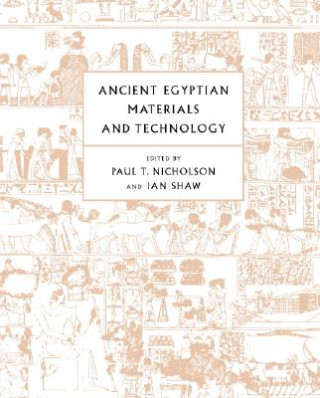 Kniha Ancient Egyptian Materials and Technology Paul T. Nicholson