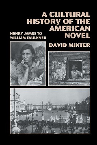 Buch Cultural History of the American Novel, 1890-1940 David L. Minter