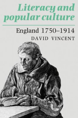 Книга Literacy and Popular Culture David Vincent