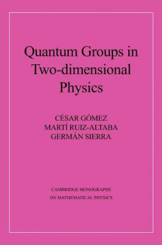 Knjiga Quantum Groups in Two-Dimensional Physics Cisar GómezMartm Ruiz-AltabaGerman Sierra