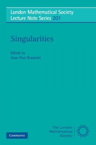 Buch Singularities Jean-Paul Brasselet