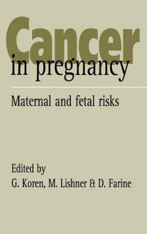 Könyv Cancer in Pregnancy G. KorenM. LishnerD. Farine