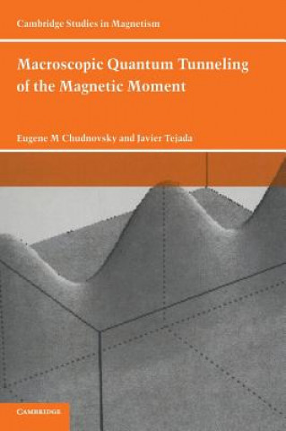 Buch Macroscopic Quantum Tunneling of the Magnetic Moment Eugene M. ChudnovskyJavier Tejada