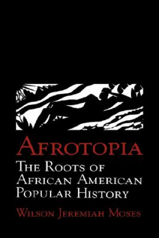 Buch Afrotopia Wilson Jeremiah Moses