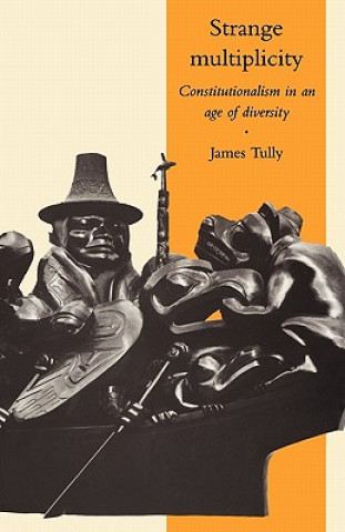 Kniha Strange Multiplicity James Tully