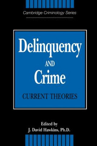 Kniha Delinquency and Crime J. David Hawkins