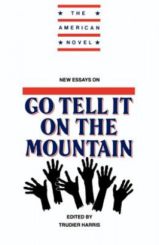 Книга New Essays on Go Tell It on the Mountain Trudier Harris