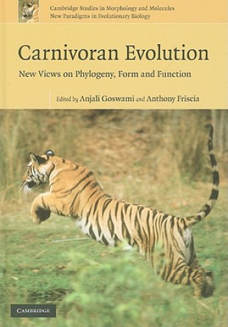 Carte Carnivoran Evolution Anjali GoswamiAnthony Friscia