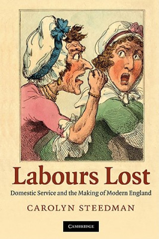 Kniha Labours Lost Carolyn Steedman