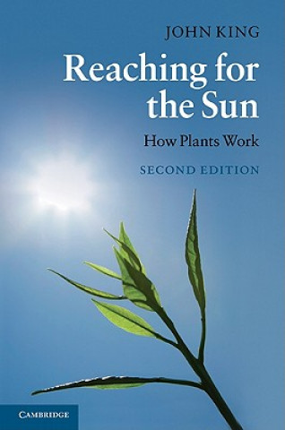 Book Reaching for the Sun John King