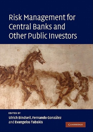 Kniha Risk Management for Central Banks and Other Public Investors Ulrich BindseilFernando GonzalezEvangelos Tabakis