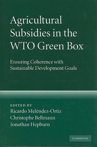 Kniha Agricultural Subsidies in the WTO Green Box Ricardo Meléndez-OrtizChristophe  BellmannJonathan Hepburn