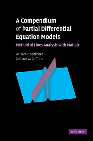 Knjiga Compendium of Partial Differential Equation Models William E. SchiesserGraham W. Griffiths