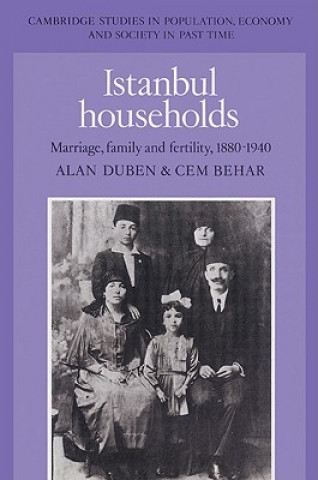 Carte Istanbul Households Alan DubenCem Behar