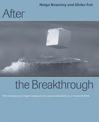 Carte After the Breakthrough Helga NowotnyUlrike Felt