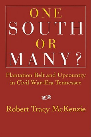 Книга One South or Many? Robert Tracy McKenzie