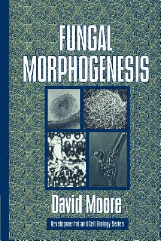 Książka Fungal Morphogenesis David Moore