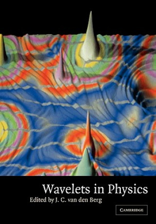 Knjiga Wavelets in Physics J. C. Van Den Berg