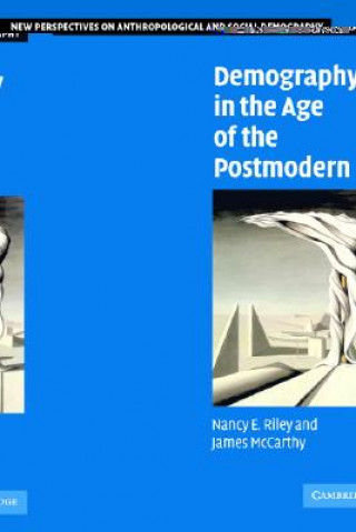 Könyv Demography in the Age of the Postmodern Nancy E. RileyJames McCarthy