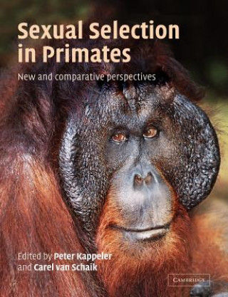 Kniha Sexual Selection in Primates Peter M. KappelerCarel P. van Schaik