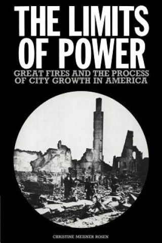 Buch Limits of Power Christine Meisner Rosen