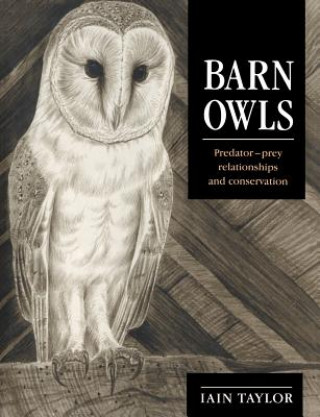 Książka Barn Owls Iain Taylor