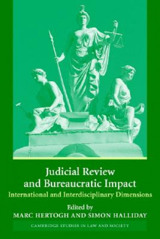 Kniha Judicial Review and Bureaucratic Impact Marc HertoghSimon Halliday