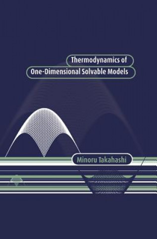 Kniha Thermodynamics of One-Dimensional Solvable Models Minoru Takahashi