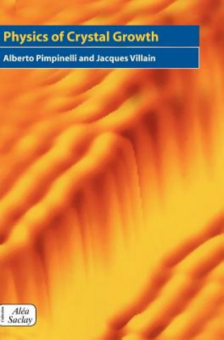 Kniha Physics of Crystal Growth Alberto PimpinelliJacques Villain