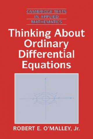Knjiga Thinking about Ordinary Differential Equations O'Malley