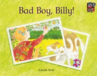 Knjiga Bad Boy, Billy! Gerald Rose