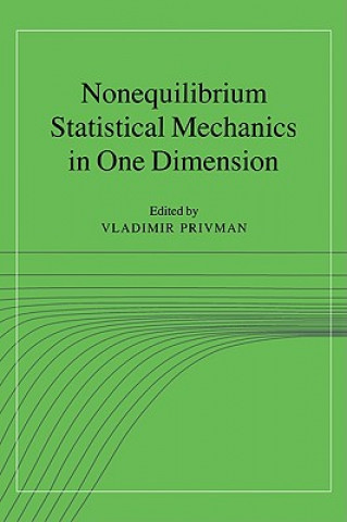 Kniha Nonequilibrium Statistical Mechanics in One Dimension Vladimir Privman